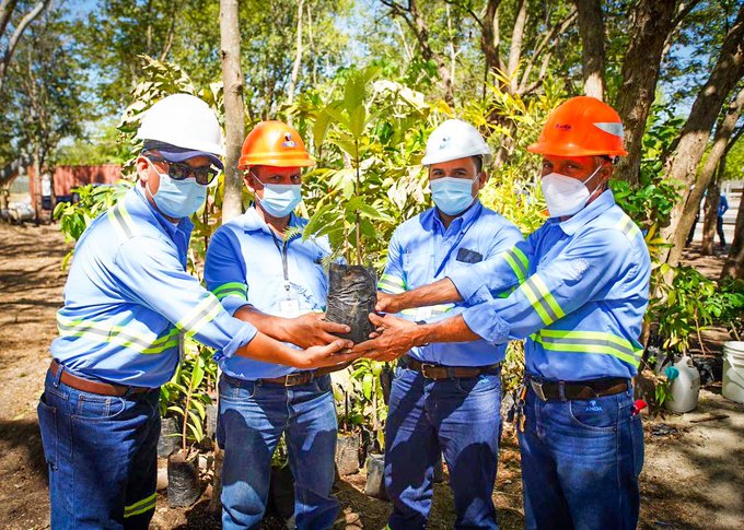 Gobierno pone manos a la obra para reforestar la planta potabilizadora Las Pavas gobierno-pone-manos-a-la-obra-para-reforestar-la-planta-potabilizadora-las-pavas